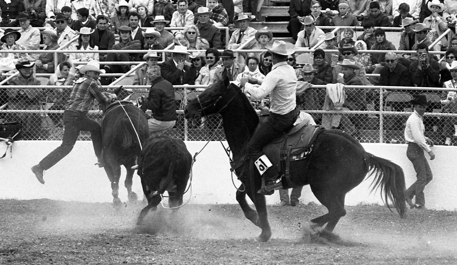 Tucson Rodeo 1961-1986